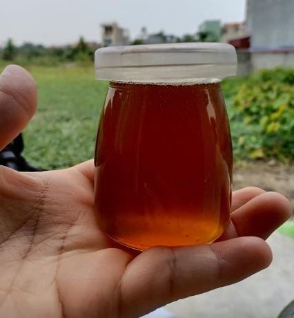 siro húng chanh giá rẻ Hải Phòng