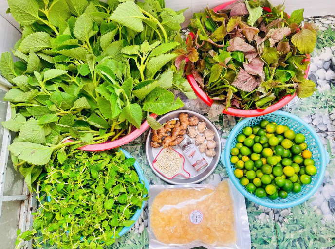Húng chanh và bài thuốc quý